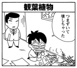 【無料漫画】毎日配信！少年アシベ（123）「家族の絆」森下裕美／キュートなゴマフアザラシの“ゴマちゃん”をめぐる名作ギャグ4コマ 14