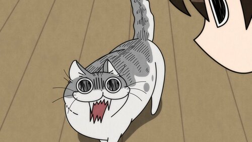 『夜は猫といっしょ』
