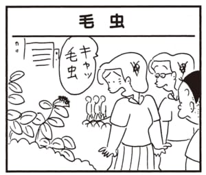 キャッ毛虫