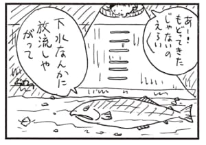 あ!もどってきたじゃないのえらいえらい 下水なんかに放流しやがって