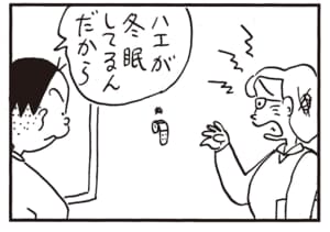 ハエが冬眠してるんだから