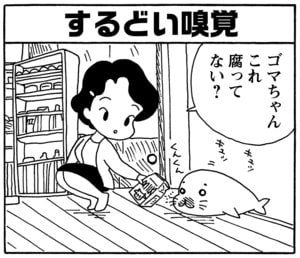 【無料漫画】毎日配信！少年アシベ（143）「憧れのあの人」森下裕美／キュートなゴマフアザラシの“ゴマちゃん”をめぐる名作ギャグ4コマ 10