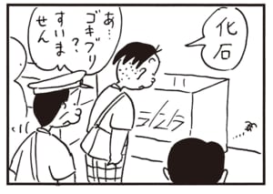 化石 あ…ゴキブリ? すいません