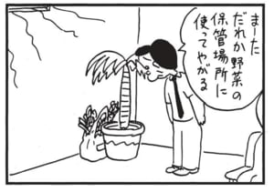 まーただれか野菜の保管場所に使ってやがる