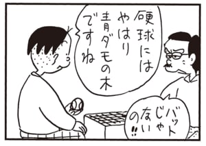 硬球にはやはり青ダモの木ですね　バットじゃないの!!