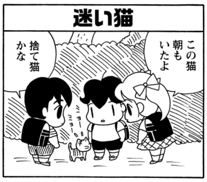 迷い猫　この猫　朝もいたよ　捨て猫かな