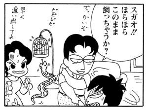 【無料漫画】毎日配信！少年アシベ（162）「チュリーちゃんが来た」森下裕美／キュートなゴマフアザラシの“ゴマちゃん”をめぐる名作ギャグ4コマ 13