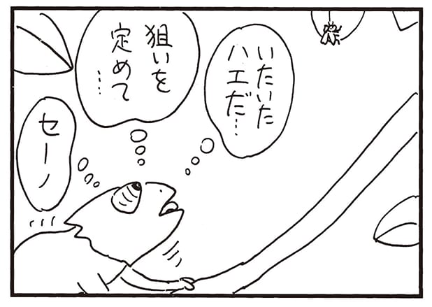 【無料漫画】かりあげクン（2236回）毎日2回配信！「カメレオン」獲物を狙った瞬間…／植田まさし 