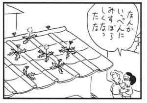 なんかいっぺんにみすぼらしくなったな