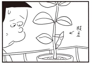 【無料漫画】かりあげクン（2051回）毎日2回配信！「さなぎ」植木鉢にいたのは…／植田まさし 4