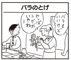 バラもいいけどやっぱトゲがいやねー