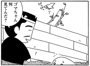 【無料漫画】毎日配信!少年アシベ(41)「鳥のように」森下裕美/キュートなゴマフアザラシの“ゴマちゃん”をめぐる名作ギャグ4コマ 7