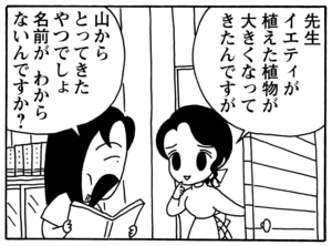 【無料漫画】毎日配信！少年アシベ（95）「アッキーの出前」森下裕美／キュートなゴマフアザラシの“ゴマちゃん”をめぐる名作ギャグ4コマ 12