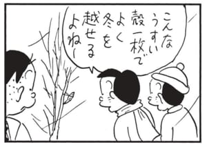 こんなうすい殻一枚でよく冬を越せるねー