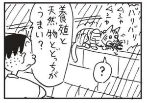 養殖と天然物とどっちがうまい?
