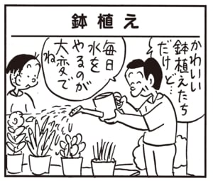 かわいい鉢植えたちだけど… 毎日水をやるのが大変でね