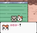 任天堂ゲームボーイ時代の神キャラゲー『とっとこハム太郎２ ハムちゃんず大集合でちゅ』21周年で振り返る「ハム語」のかわいさの画像003