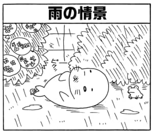 【無料漫画】毎日配信！少年アシベ（203）嵐が過ぎ去った後「つかの間の…」キュートな“ゴマちゃん”をめぐる名作4コマ／森下裕美 10