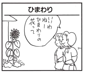 いいわねーひまわりの花って