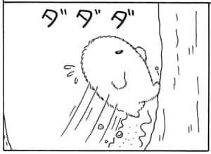 【無料漫画】毎日配信！少年アシベ（55）「アドベンチャー・ファミリー」森下裕美／キュートなゴマフアザラシの“ゴマちゃん”をめぐる名作ギャグ4コマ 26