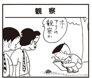 ホーアリの観察か
