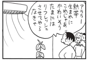 【無料漫画】かりあげクン(1616回)毎日配信!「同室」「ゴムの木」眠れない原因はいびきや歯ぎしりではなく…/植田まさし 7