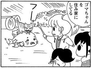 【無料漫画】毎日配信！少年アシベ（34）「新年会」森下裕美／キュートなゴマフアザラシの“ゴマちゃん”をめぐる名作ギャグ4コマ 17