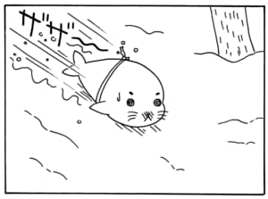 【無料漫画】毎日配信！少年アシベ（43）「ウインターリゾート」森下裕美／キュートなゴマフアザラシの“ゴマちゃん”をめぐる名作ギャグ4コマ 11