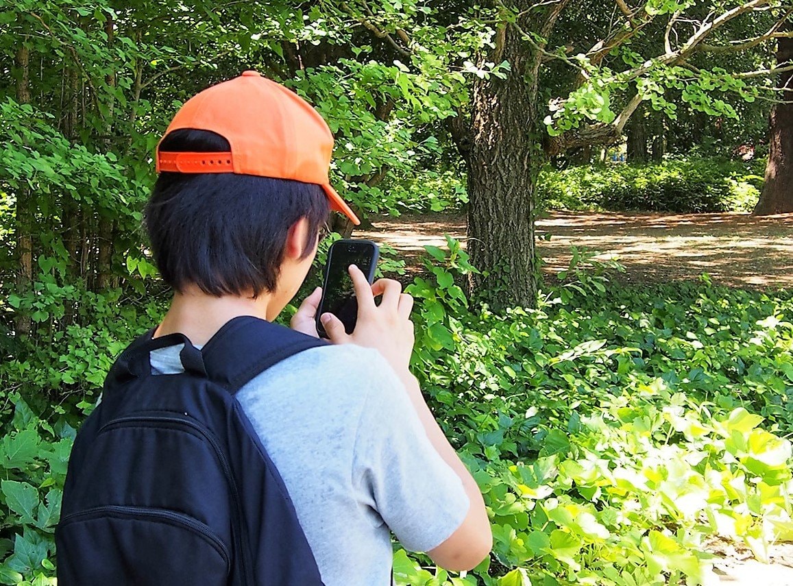 スイッチ ポケモン 新作で リストラ 多発 引退考える とファン反発 ふたまん