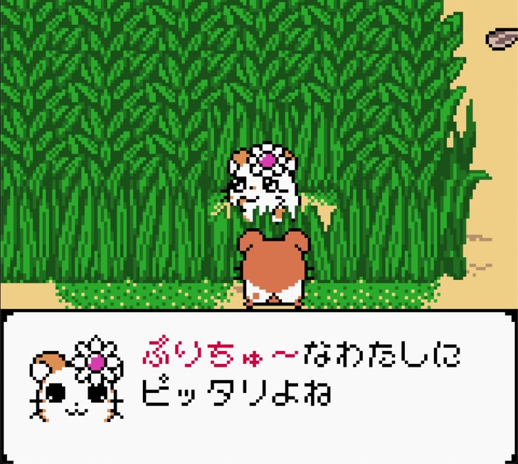 任天堂ゲームボーイ時代の神キャラゲー『とっとこハム太郎２ ハムちゃんず大集合でちゅ』21周年で振り返る「ハム語」のかわいさの画像013