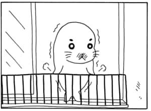 【無料漫画】毎日配信!少年アシベ(41)「鳥のように」森下裕美/キュートなゴマフアザラシの“ゴマちゃん”をめぐる名作ギャグ4コマ 11