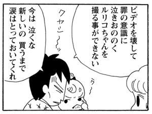 【無料漫画】毎日配信！少年アシベ（200）天気が気になりすぎて…「今日も雨」キュートな“ゴマちゃん”をめぐる名作4コマ／森下裕美 25