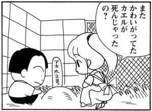 【無料漫画】毎日配信！少年アシベ（78）「アッキーのカエル」森下裕美／キュートなゴマフアザラシの“ゴマちゃん”をめぐる名作ギャグ4コマ 19