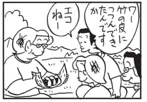 ワー竹の皮につつんできたんですか　エコねー