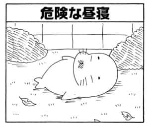 【無料漫画】毎日配信！少年アシベ（216）小鳥に礼儀を教えてみるが…「ジェラシーギーコ」キュートな“ゴマちゃん”をめぐる名作4コマ／森下裕美 22