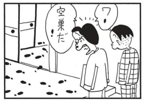 ワ!空巣だ