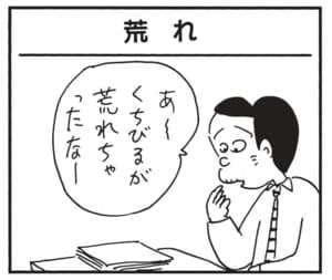 あーくちびるが荒れちゃったなー