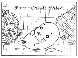 【無料漫画】毎日配信！少年アシベ（203）嵐が過ぎ去った後「つかの間の…」キュートな“ゴマちゃん”をめぐる名作4コマ／森下裕美 12