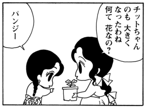 【無料漫画】毎日配信！少年アシベ（95）「アッキーの出前」森下裕美／キュートなゴマフアザラシの“ゴマちゃん”をめぐる名作ギャグ4コマ 11