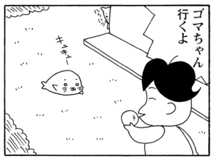 ゴマちゃん行くよ