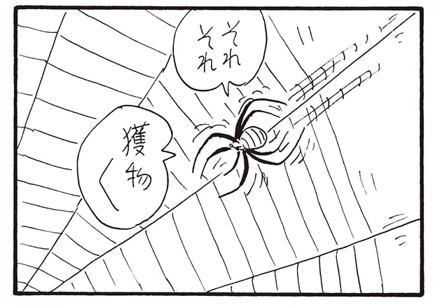 【無料漫画】かりあげクン（1990回）毎日2回配信！「クモ」巣に引っかかった想定外の獲物／植田まさし 