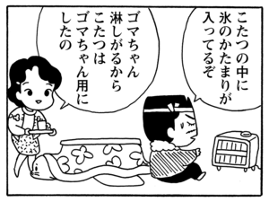 【無料漫画】毎日配信！少年アシベ（134）「ゴマちゃんのペット」森下裕美／キュートなゴマフアザラシの“ゴマちゃん”をめぐる名作ギャグ4コマ 13