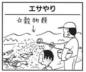 【無料漫画】かりあげクン(1671回)毎日配信!「エサやり」「ボクシング通」カラスはなんでも食べるというけれど…/植田まさし 1