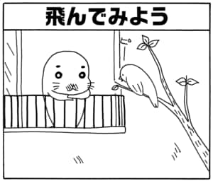 【無料漫画】毎日配信!少年アシベ(41)「鳥のように」森下裕美/キュートなゴマフアザラシの“ゴマちゃん”をめぐる名作ギャグ4コマ 10