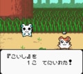 任天堂ゲームボーイ時代の神キャラゲー『とっとこハム太郎２ ハムちゃんず大集合でちゅ』21周年で振り返る「ハム語」のかわいさの画像008