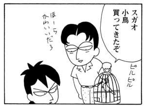 【無料漫画】毎日配信！少年アシベ（162）「チュリーちゃんが来た」森下裕美／キュートなゴマフアザラシの“ゴマちゃん”をめぐる名作ギャグ4コマ 11