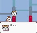 任天堂ゲームボーイ時代の神キャラゲー『とっとこハム太郎２ ハムちゃんず大集合でちゅ』21周年で振り返る「ハム語」のかわいさの画像024