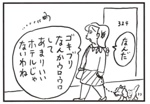 なんだ ゴキブリなんかウロウロしててあまりいいホテルじゃないわね