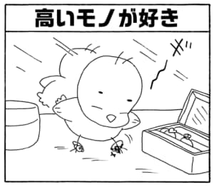 【無料漫画】毎日配信!少年アシベ(221)何でもビデオに撮る父親「反省してます」キュートな“ゴマちゃん”をめぐる名作4コマ/森下裕美 6