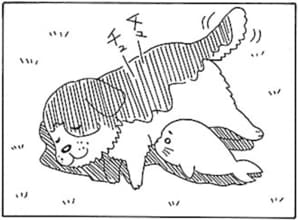 【無料漫画】毎日配信！少年アシベ（4）「アシベ君からの手紙」森下裕美 16